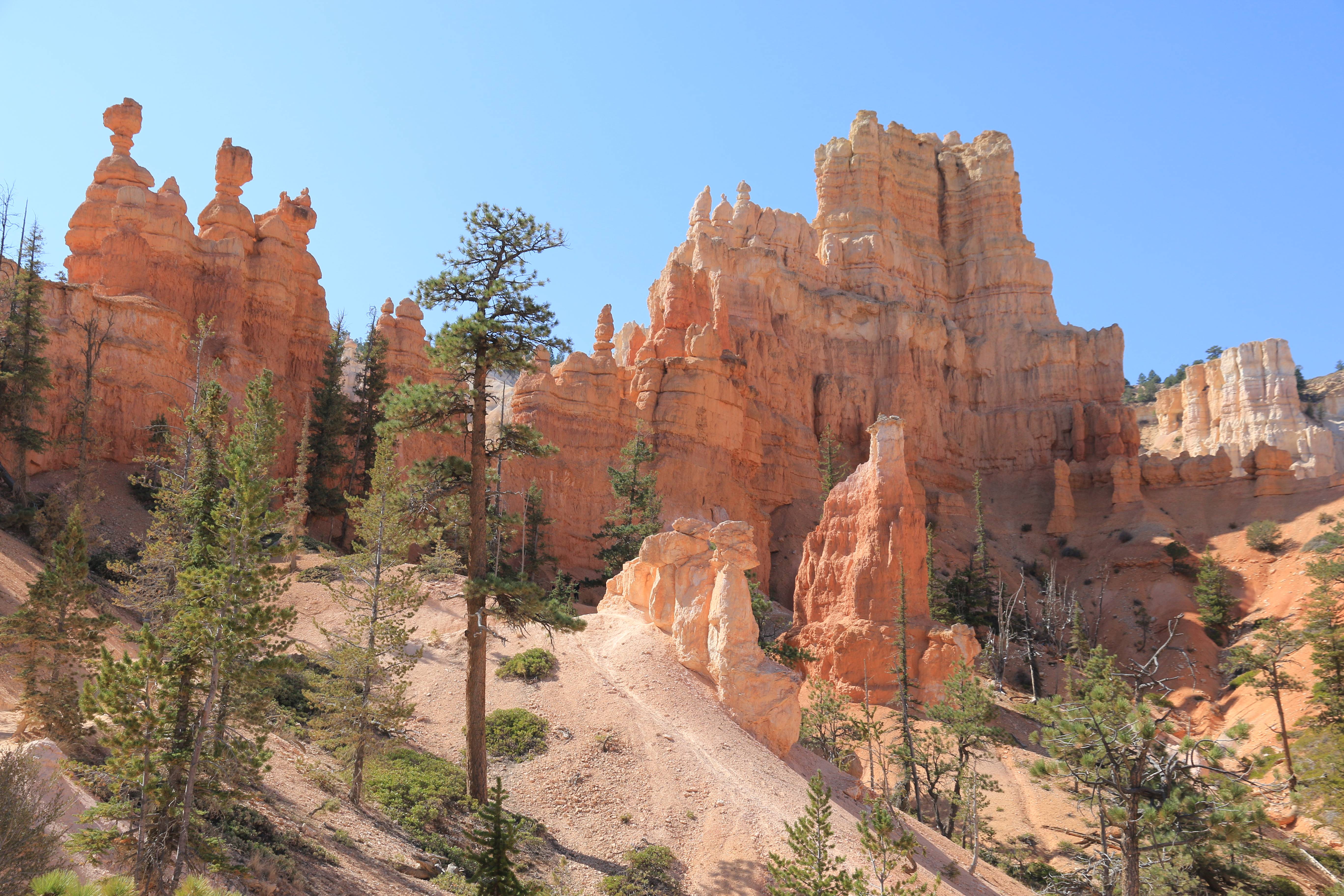 Bryce Canyon NP